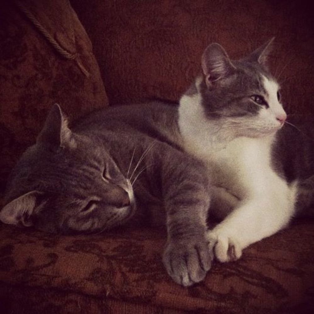 Meet your Posher, Marco